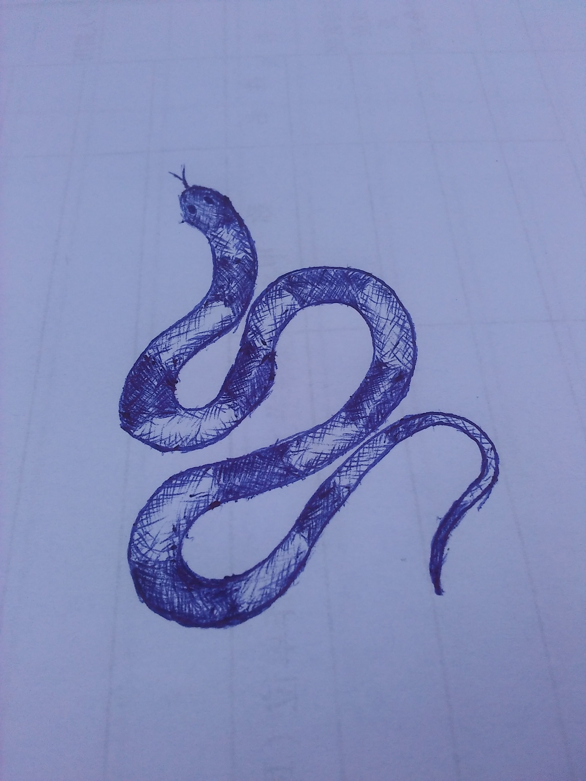 圆珠笔画-蛇|纯艺术|绘画|卅蓝 - 原创作品 - 站酷 (zcool)