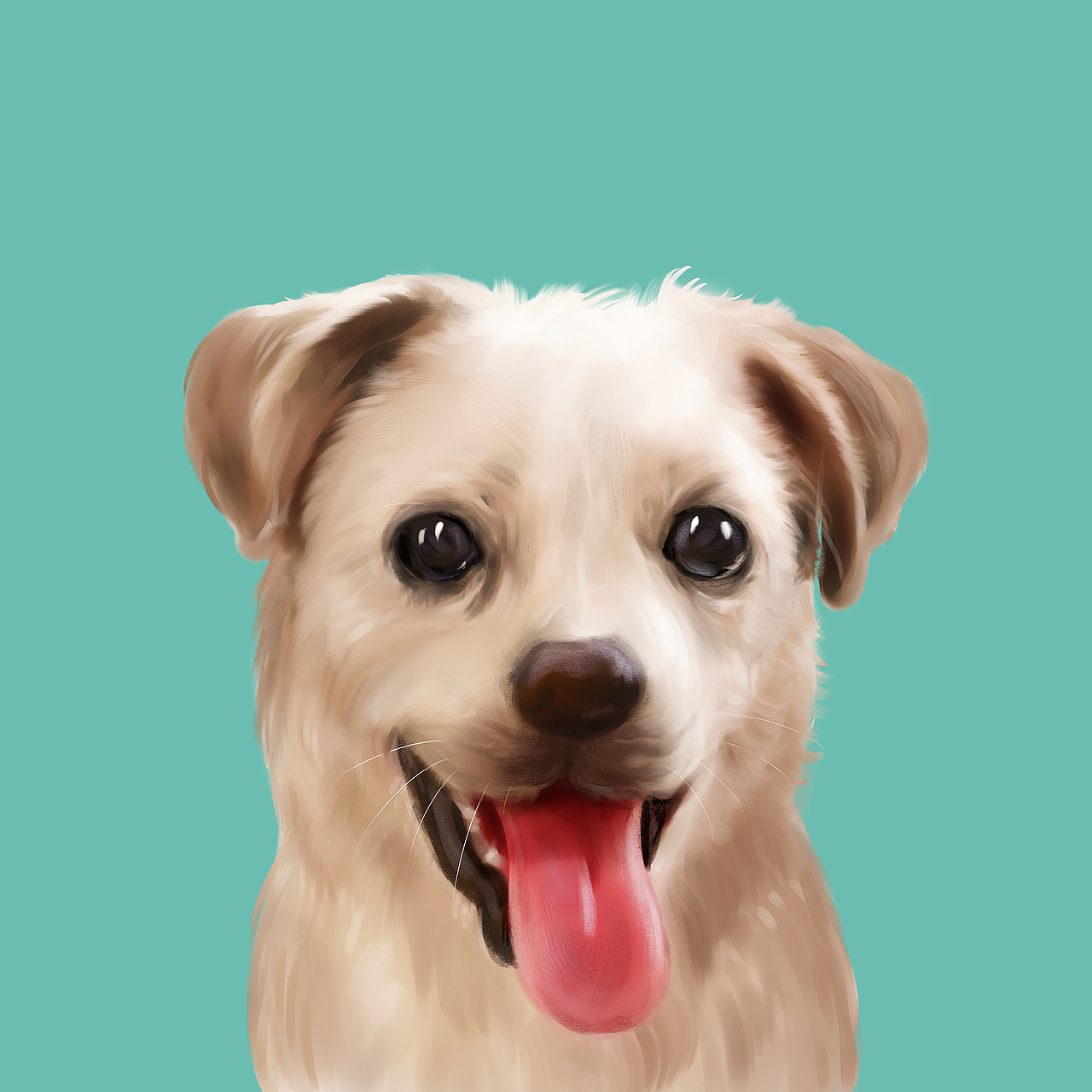 宠物手绘 宠物插画 中华田园犬