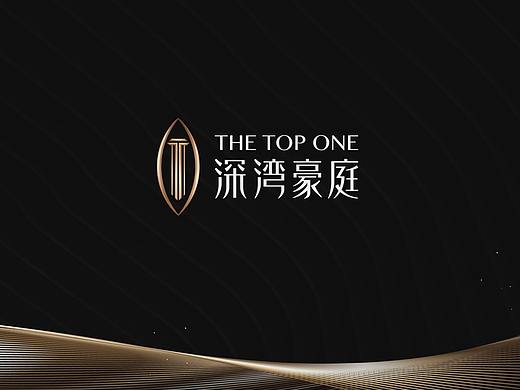 黑金豪宅地产