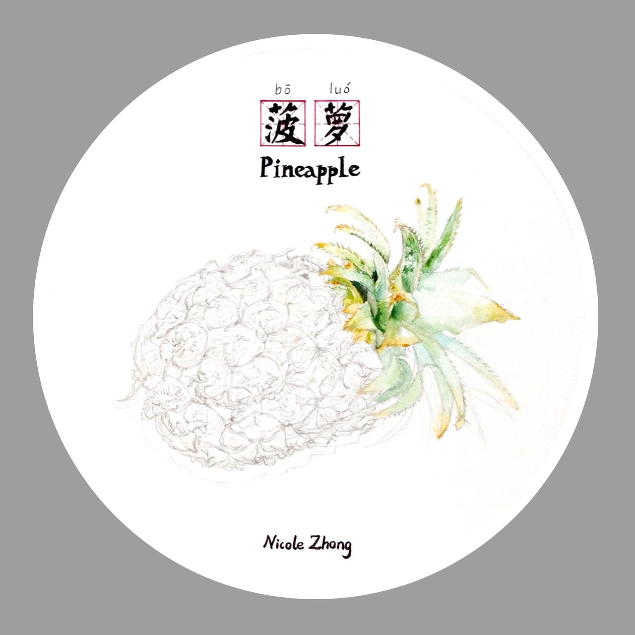 水果系列NO.5-菠萝