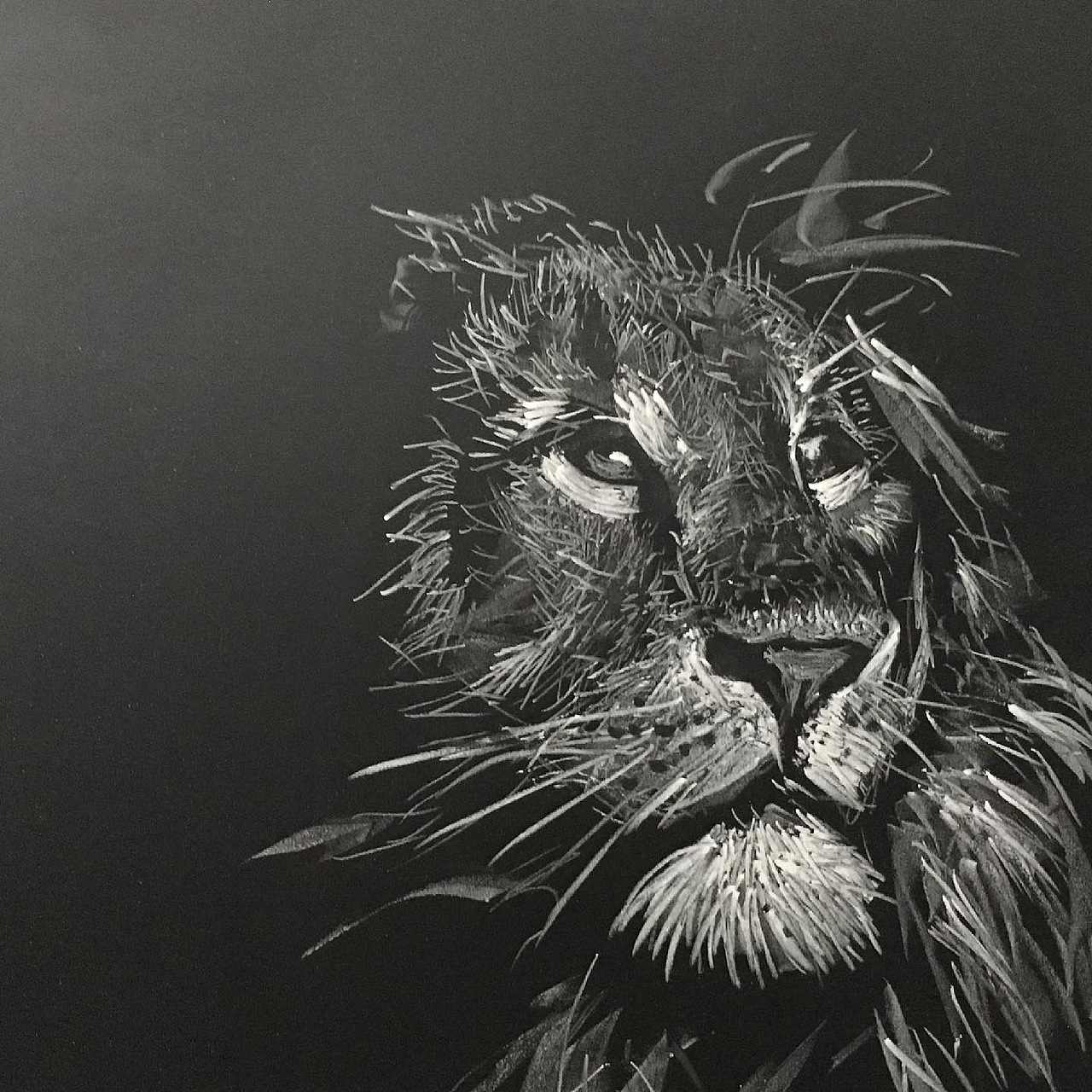 黑板粉笔画狮子王