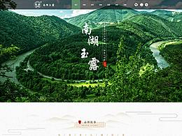 网页案例