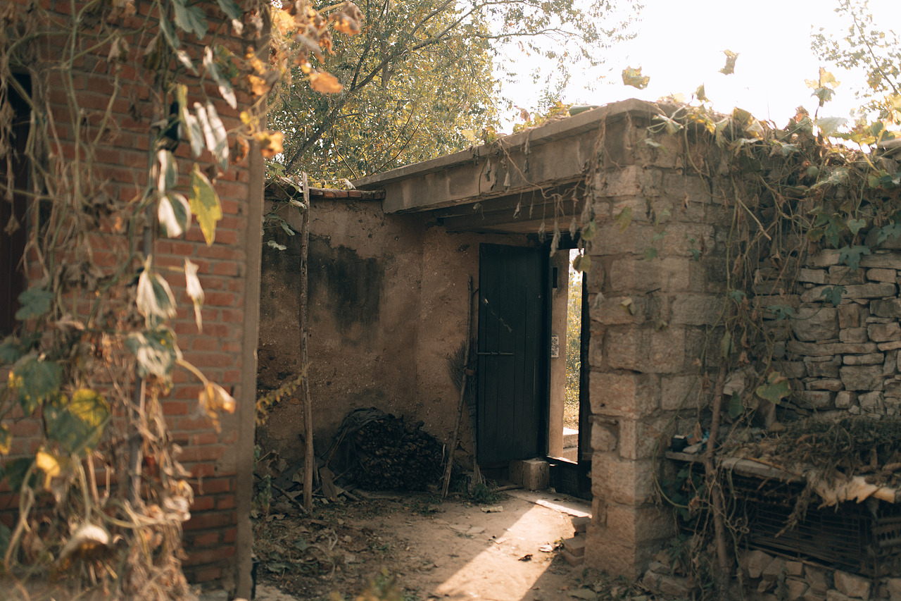 【光意·家庭纪实老人篇】我欠“她”的不只是一张照片