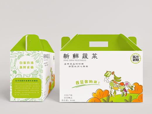 蔬菜农产品包装设计