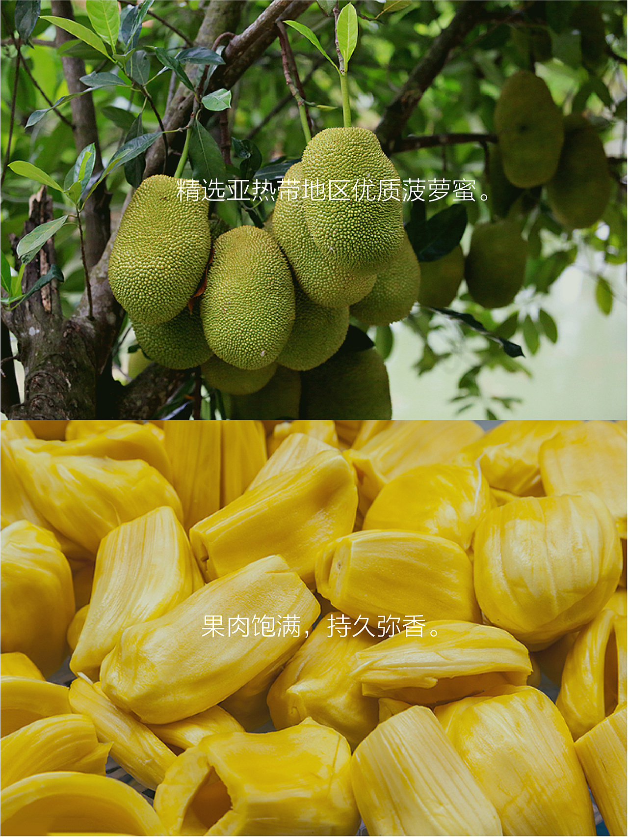 HIRO薯片和榙榙牌果干（图ZOTU0Mzk5Mjg=） - 电商 - 站酷设计师美工爸爸原创素材 - 站酷ZCOOL