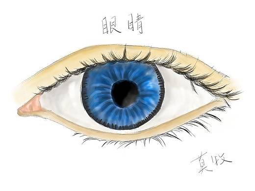 眼睛（个人主页-ZNDE5NDQwOTI=） - 其他平面 - 站酷设计师莫牧原创素材 - 站酷ZCOOL