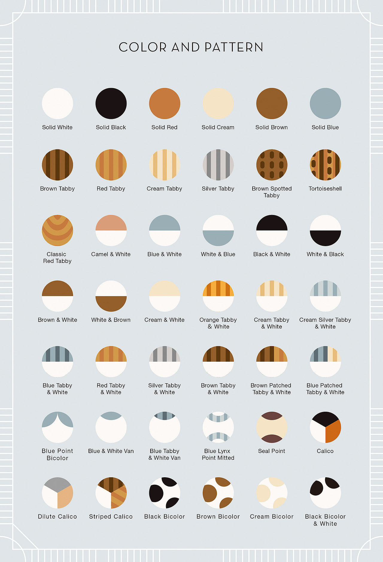 去年年初第二本画册项目