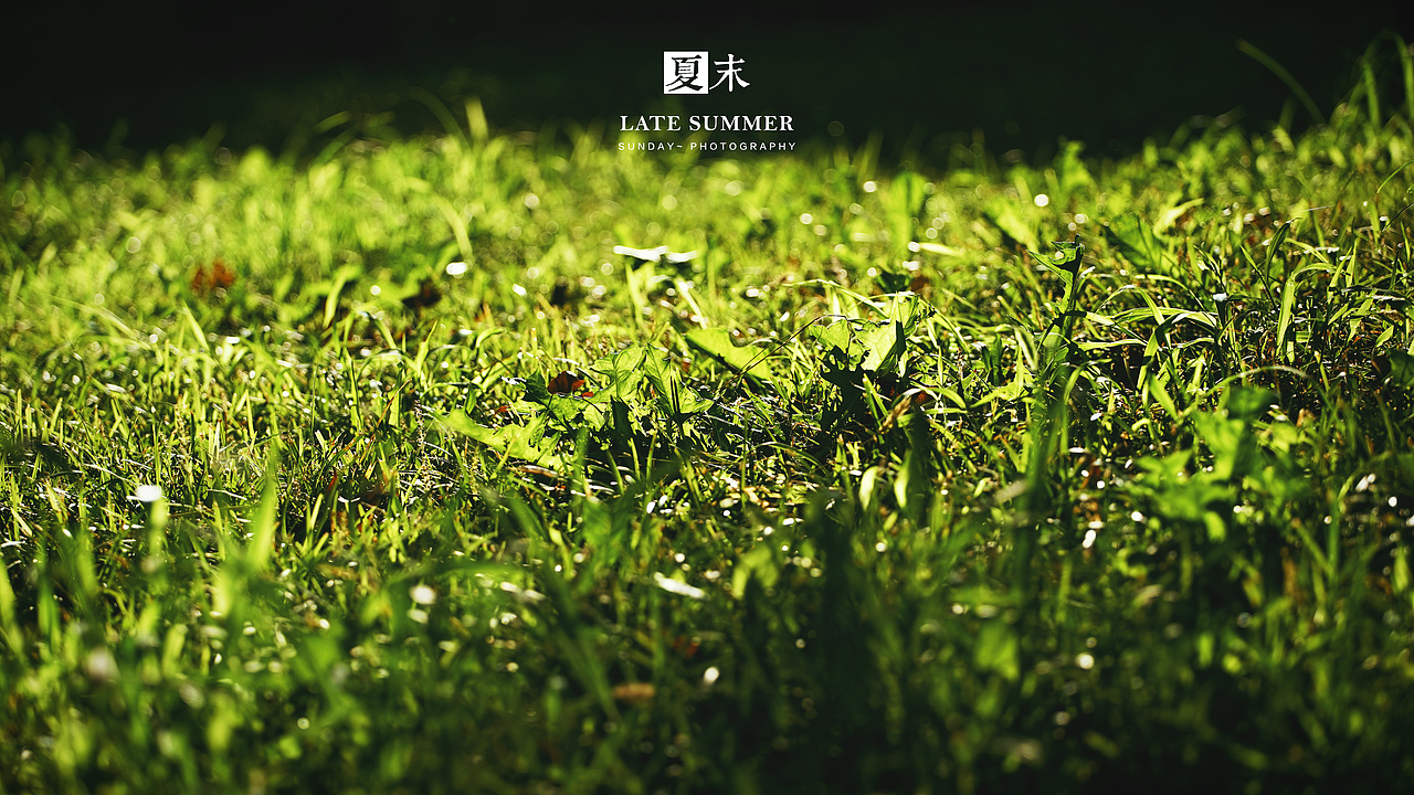 夏末秋初，荷塘印象（图ZODgwMzY1Njg=） - 风光摄影 - 站酷设计师sunday00love原创素材 - 站酷ZCOOL