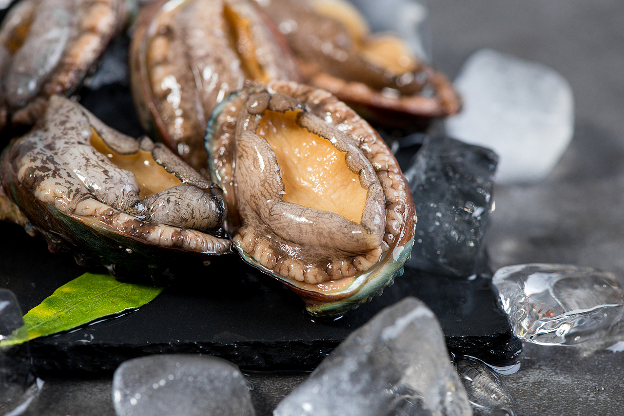 鲍鱼（图ZMTM5OTIxMDQ0） - 产品摄影 - 站酷设计师洛洛爸原创素材 - 站酷ZCOOL