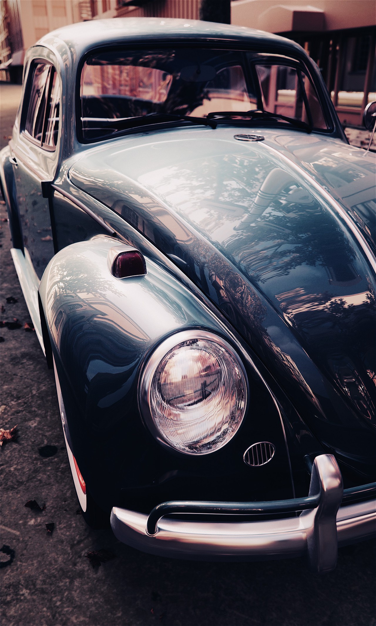 《夕阳家》:新篇章-致努力向前的伙伴们