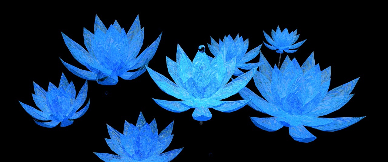 空间,装置及影像视频练习