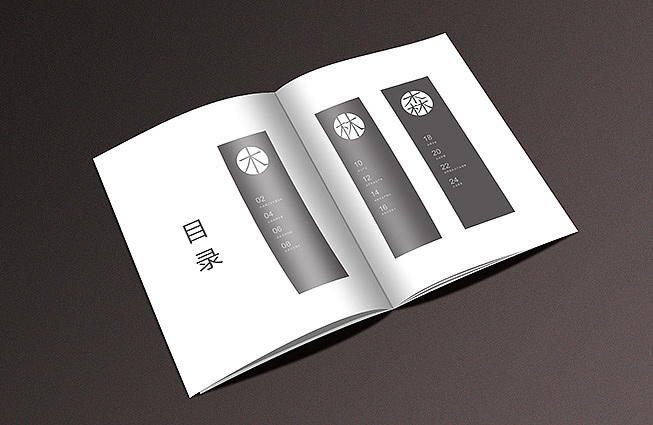 给客户初步提案的一本画册