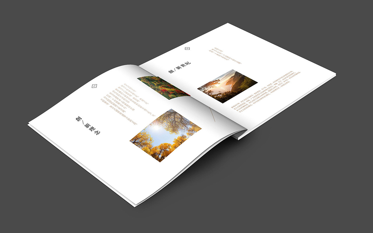 丰平控股集团宣传册