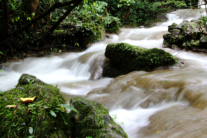 青山绿水韵味足