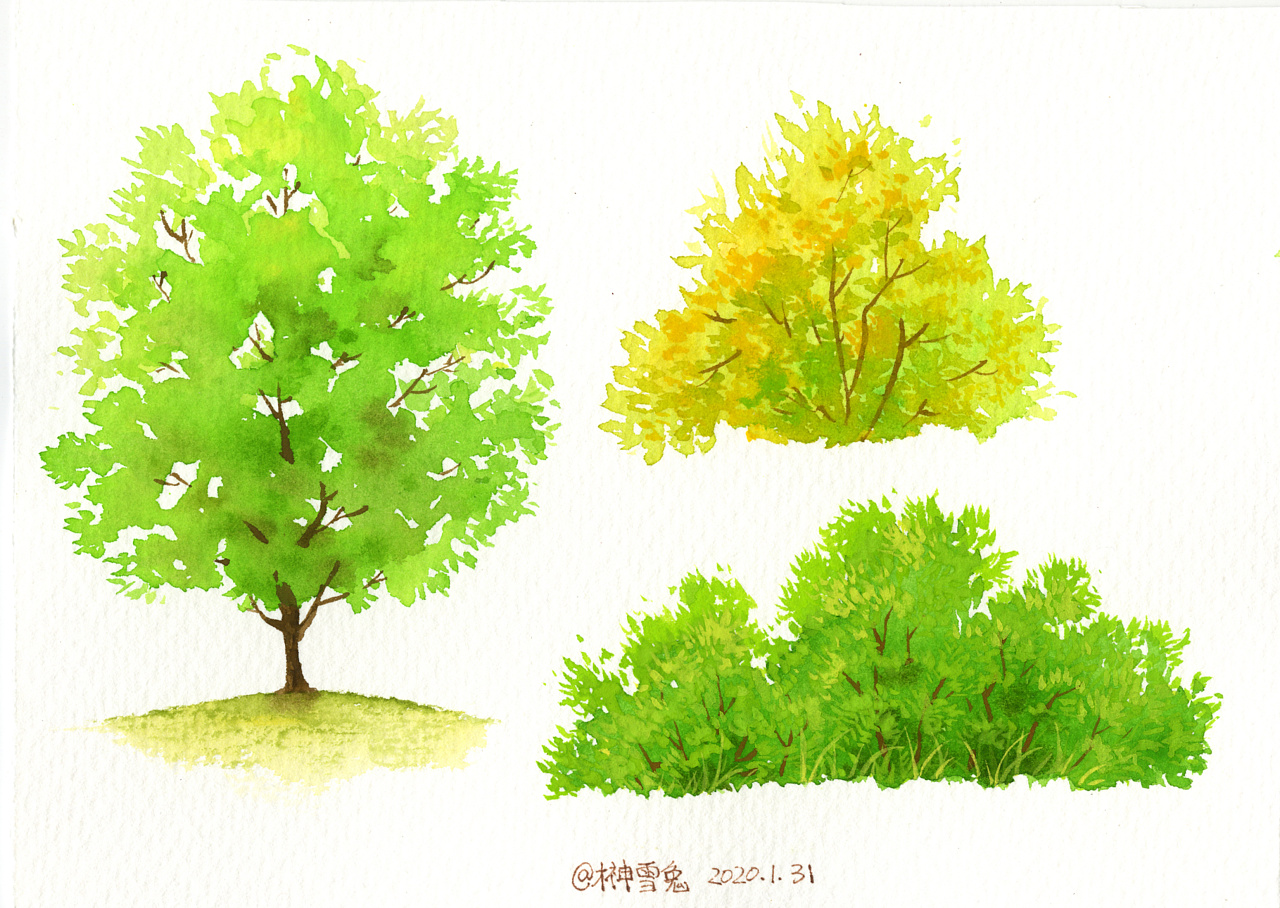 水彩画树的画法 简单图片