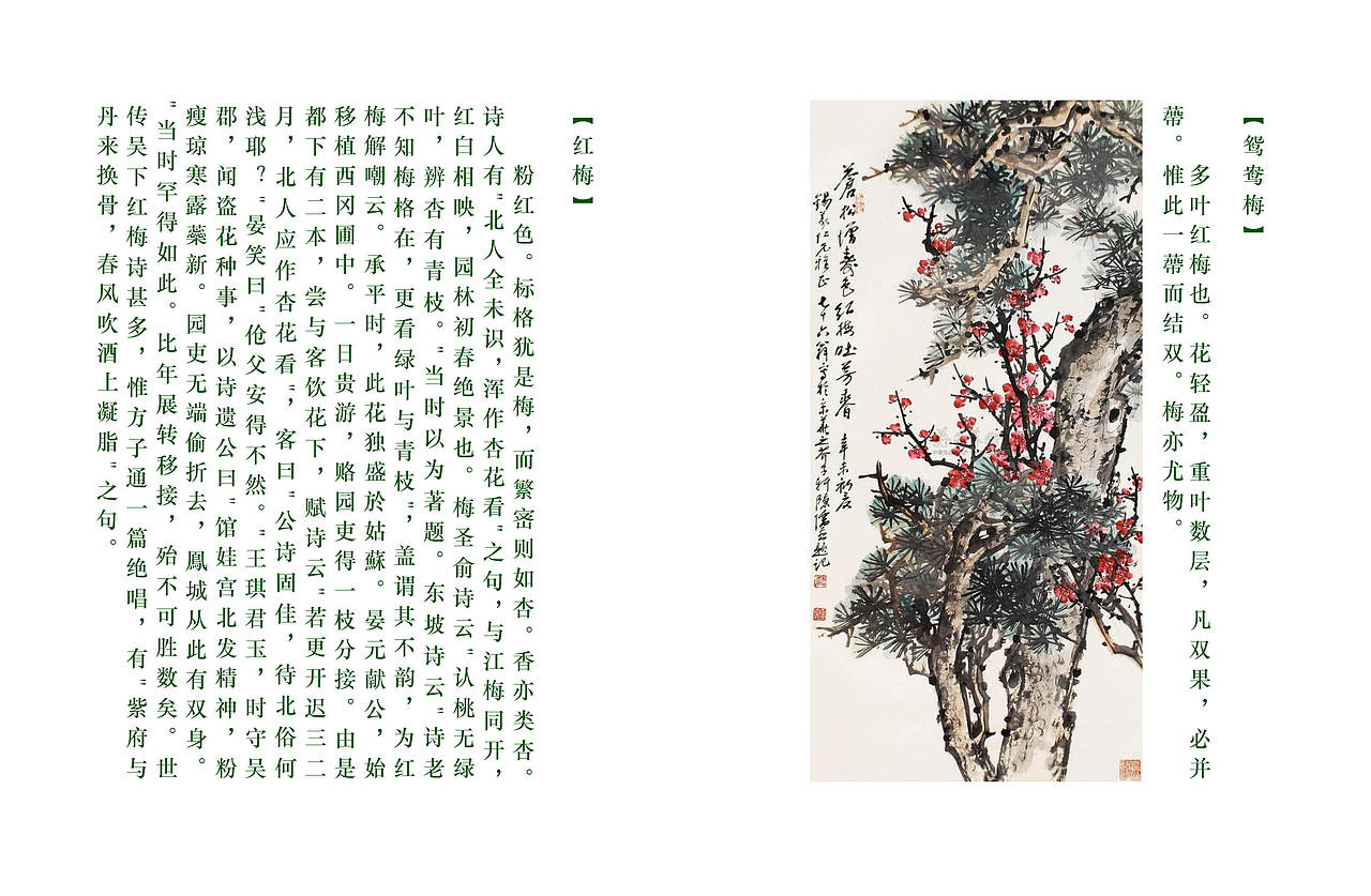 梅兰竹菊图谱书籍排版
