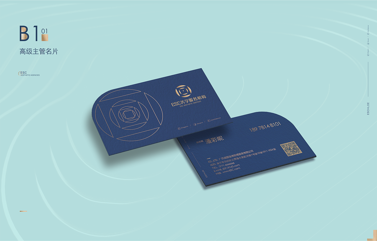 esc美学服务机构VIS