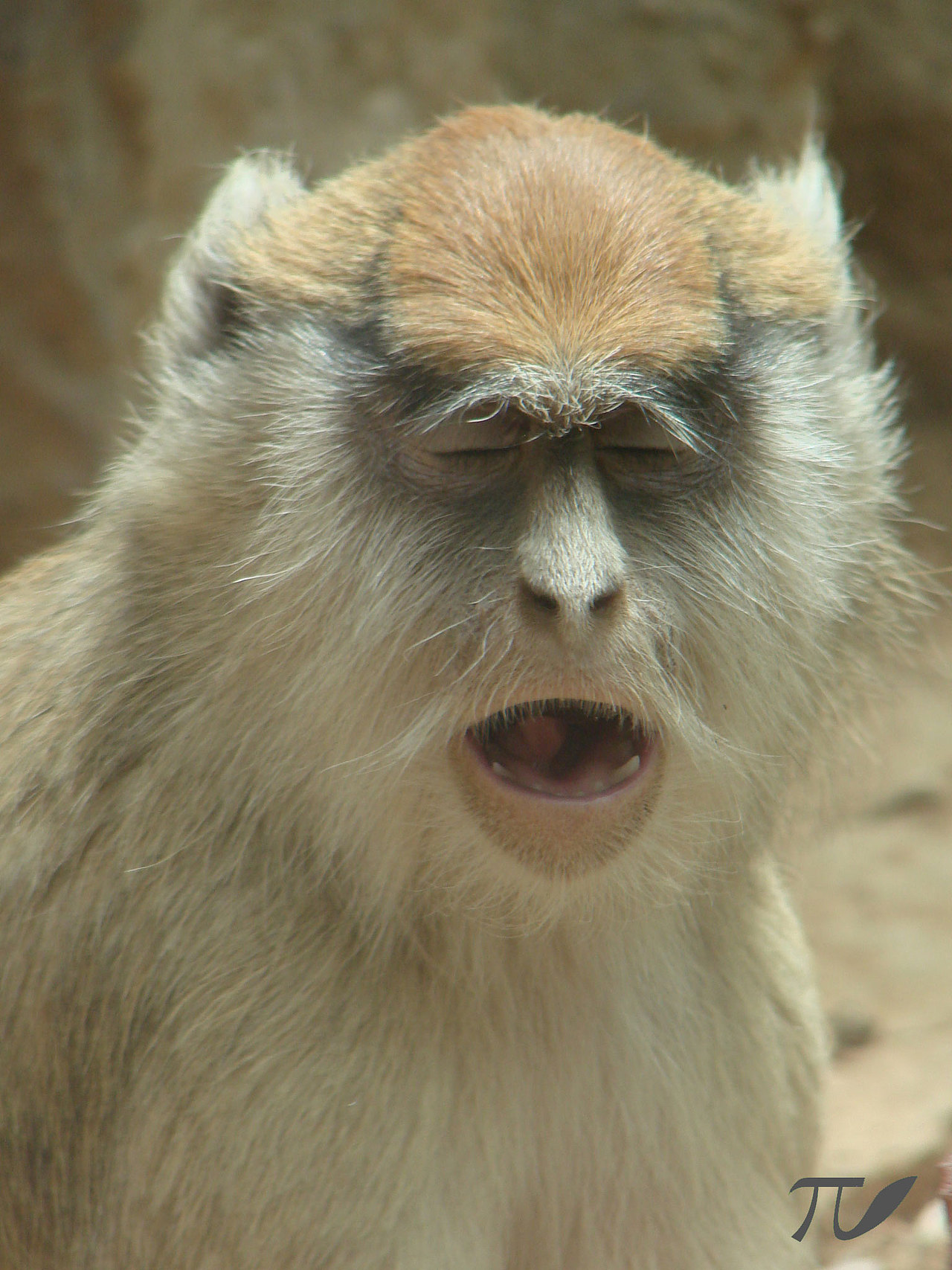 动物园的劳动节