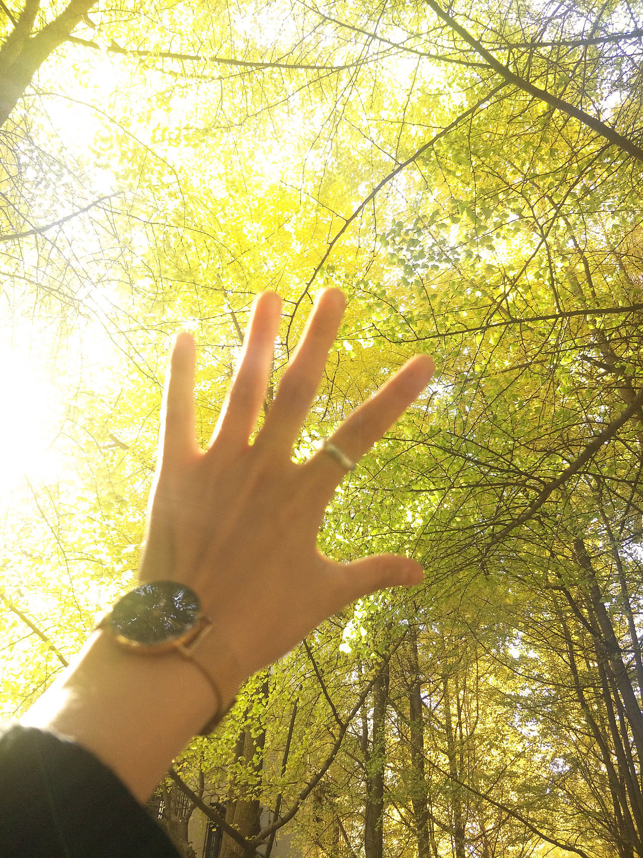 2017金黄成都（图ZOTk0ODc5MjA=） - 风光摄影 - 站酷设计师A梁梁原创素材 - 站酷ZCOOL