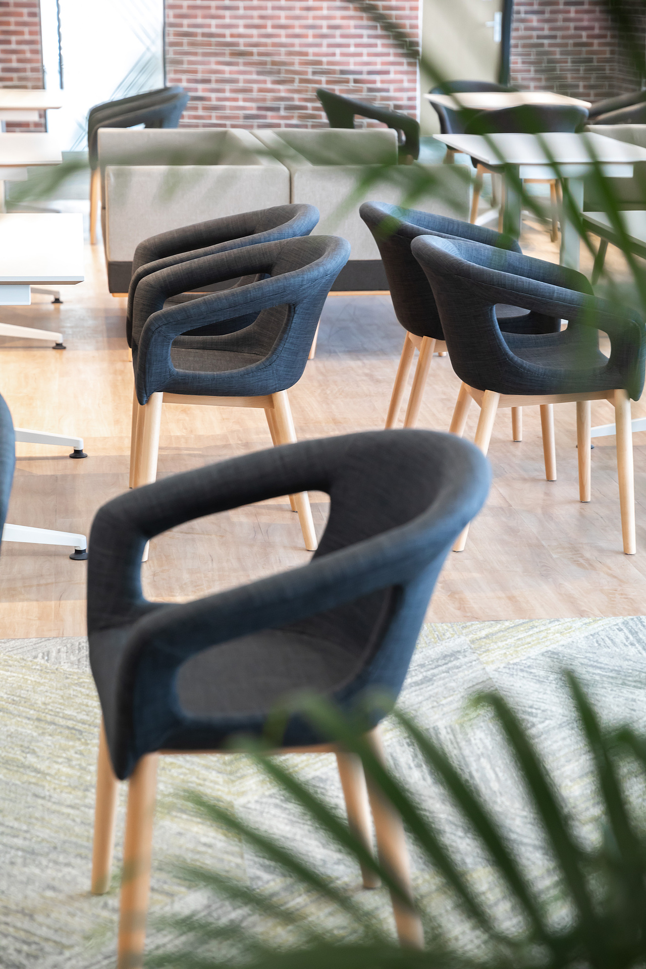 佳能（中国）完工照片