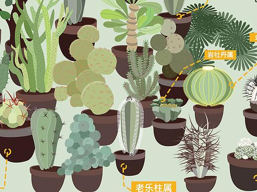仙人球字体（个人主页-ZNTIxMjM0MTI=） - 字体/字形 - 站酷设计师设计小立原创素材 - 站酷ZCOOL