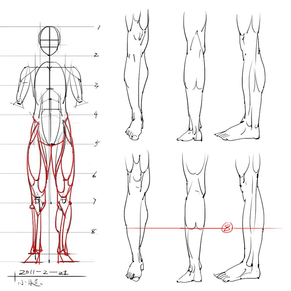 「素材」分享一波绘画专用人体解剖素材 part 05