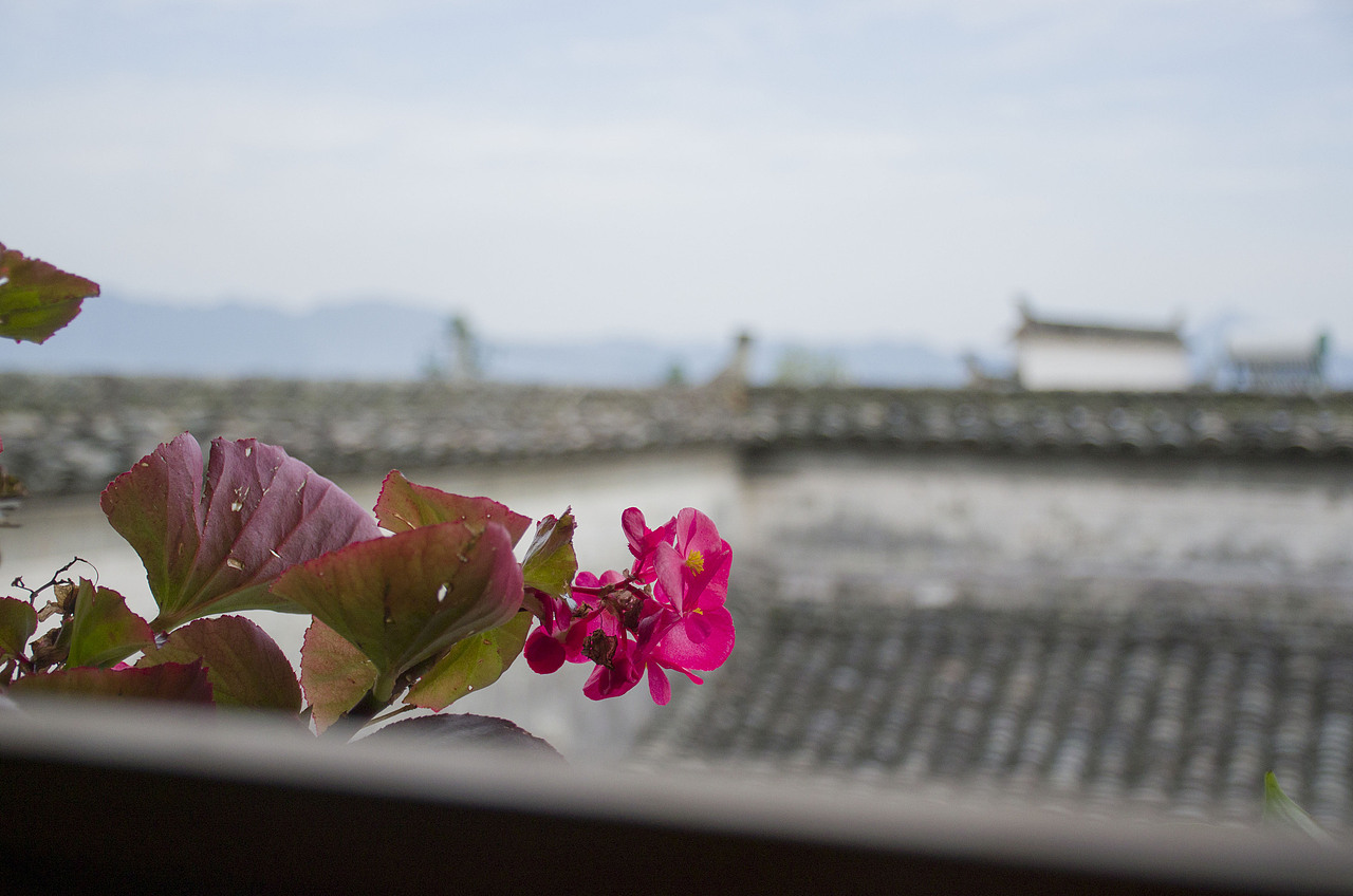 一段好时光 我有故事你有酒。