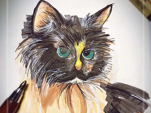 习作二·动物（个人主页-ZNDA2MzA0MTY=） - 创作习作 - 站酷设计师言泽yanze原创素材 - 站酷ZCOOL