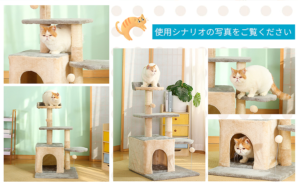 淘宝亚马逊产品拍摄A+商品主图设计视频拍摄宠物用品