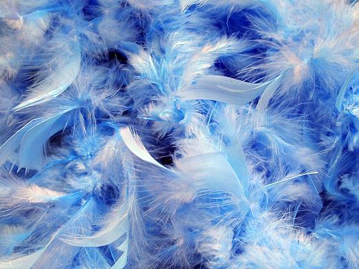 羽居動(dòng)效（個(gè)人主頁(yè)-ZMjU2MTg0OTY=） - 動(dòng)效設(shè)計(jì) - 站酷設(shè)計(jì)師北京老鐵原創(chuàng)素材 - 站酷ZCOOL