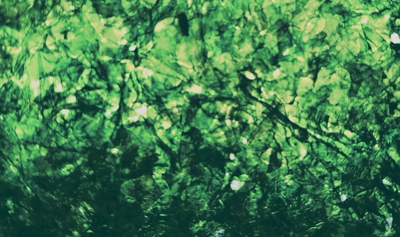 猜猜这个是什么,猜到送个男人