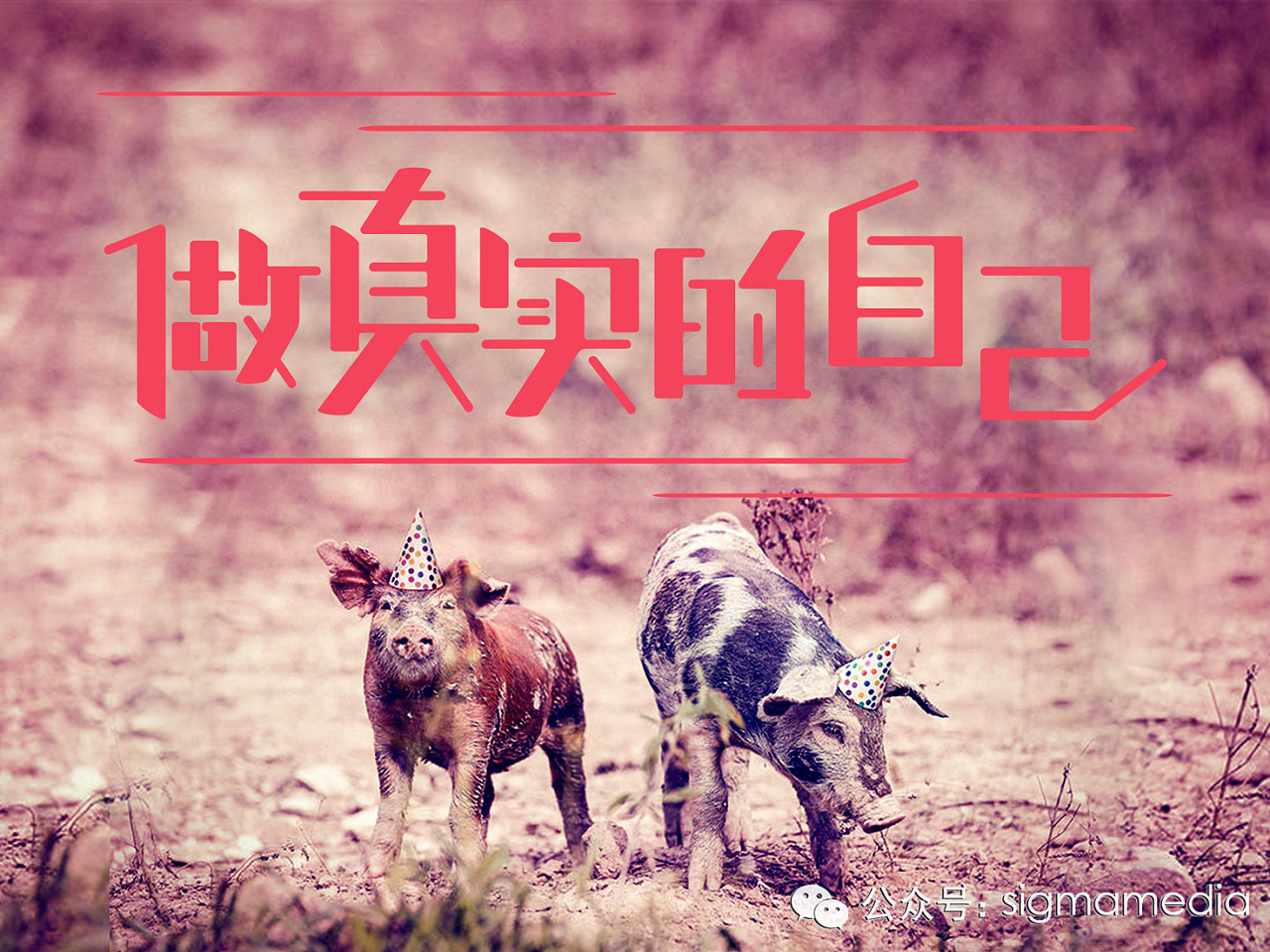 原创字体设计——做真实的自己