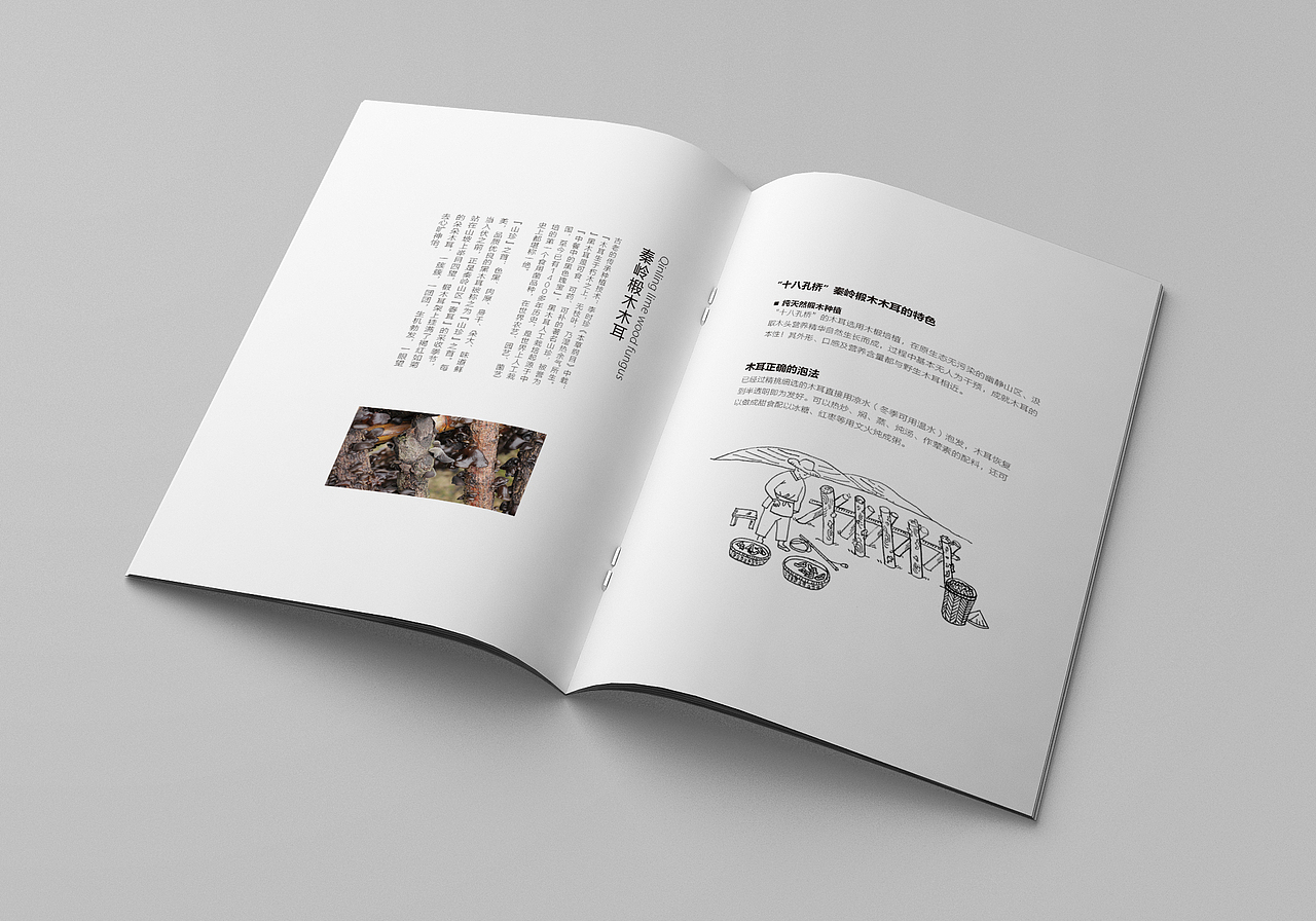 8月份画册作品整理（一）