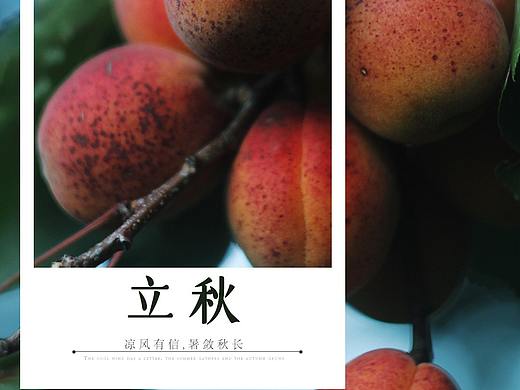 立秋（个人主页-ZNTQzODYzNTY=） - 海报 - 站酷设计师爱溜达的王大爷原创素材 - 站酷ZCOOL