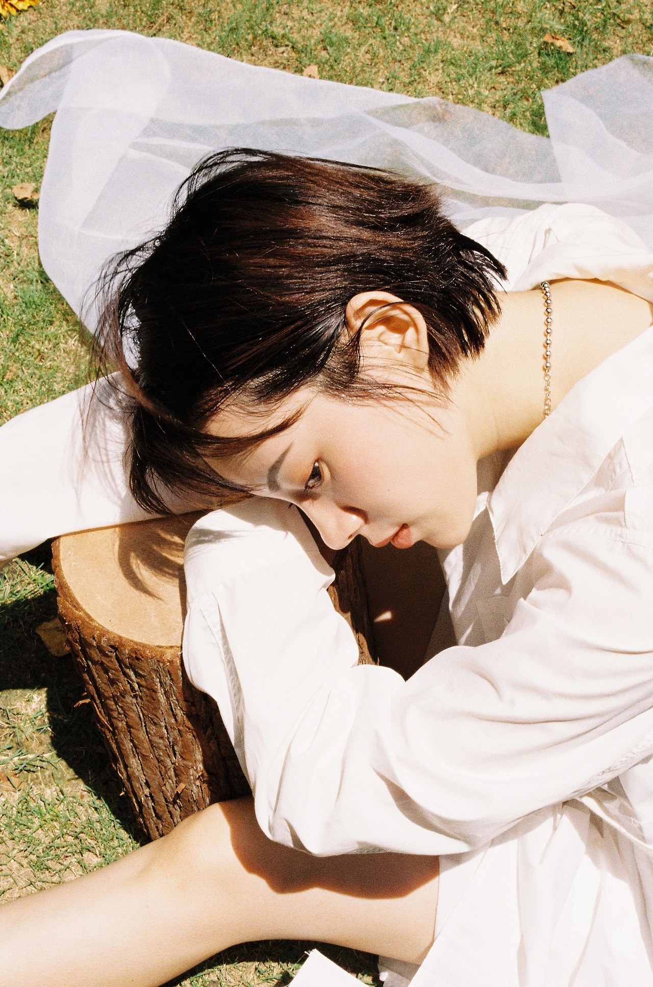 你的眼里有星星