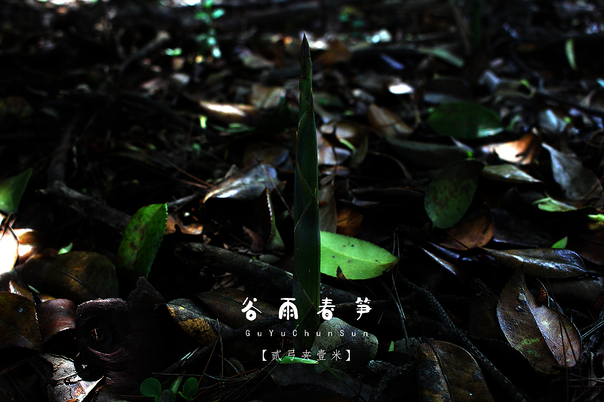 【二弓夹一米】ta那么美，多瞟一眼（图ZNzc0MjEwMzI=） - 人文/纪实摄影 - 站酷设计师Roadarmor9原创素材 - 站酷ZCOOL