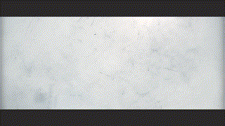 《末日之后》宣传片（图ZMTYwNDQ0NjU2） - 影视后期 - 站酷设计师暹罗不是猫原创素材 - 站酷ZCOOL