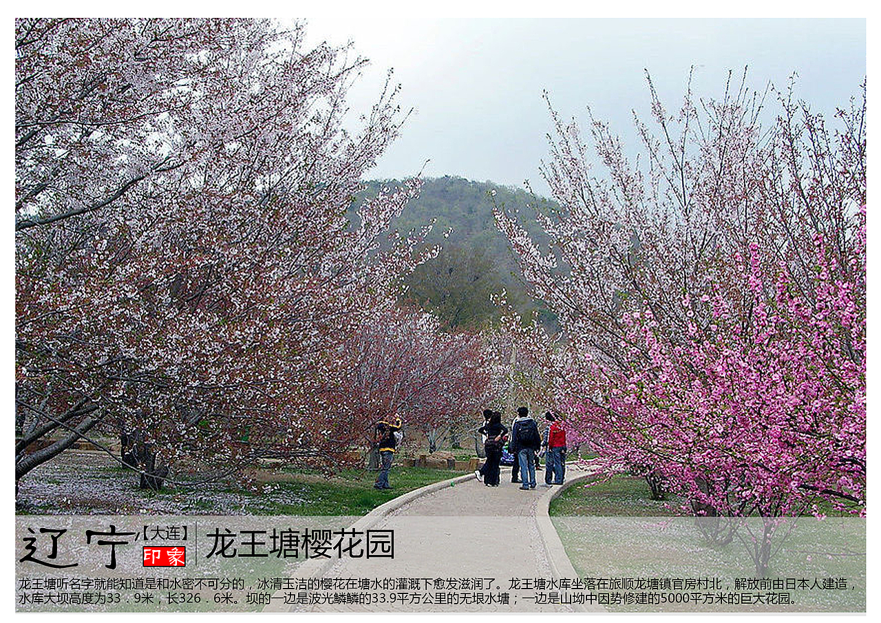 龙王塘听名字就能知道是和水密不可分的，冰清玉洁的樱花在塘水的灌溉下愈发滋润了。龙王塘水库坐落在旅顺龙塘镇官房村北，解放前由日本人建造，水库大坝高度为33．9米，长326．6米。坝的一边是波光鳞鳞的33.9平方公里的无垠水塘；一边是山坳中因势修建的5000平方米的巨大花园。