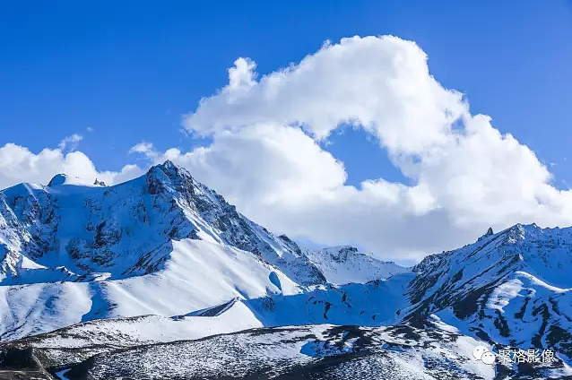 林芝桃花（图ZMTA2MzU0ODEy） - 风光摄影 - 站酷设计师聚格影像原创素材 - 站酷ZCOOL