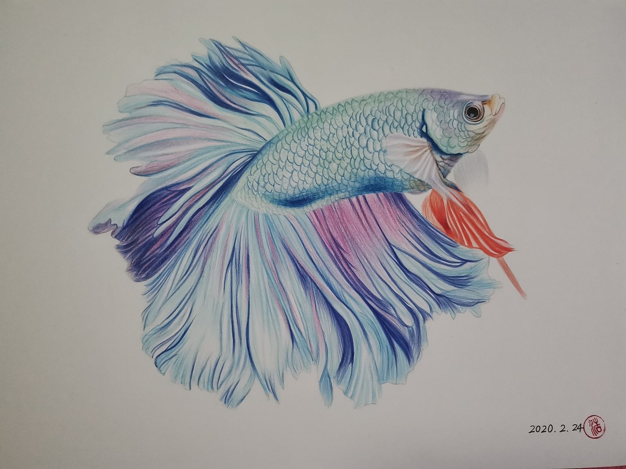 斗鱼- 原创作品 - 站酷(zcool)