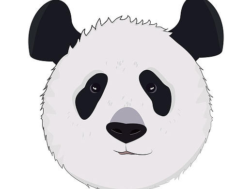 秦岭四宝