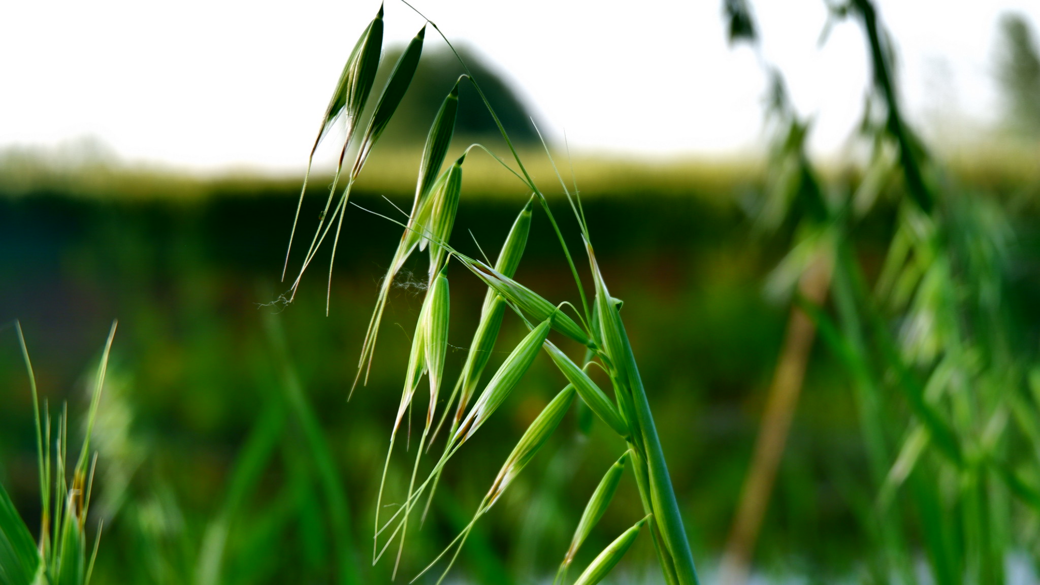 沐耳兒的個(gè)人主頁(yè)（封面預(yù)覽） - 主頁(yè)封面設(shè)置 - 站酷設(shè)計(jì)師沐耳兒原創(chuàng)素材 - 站酷ZCOOL
