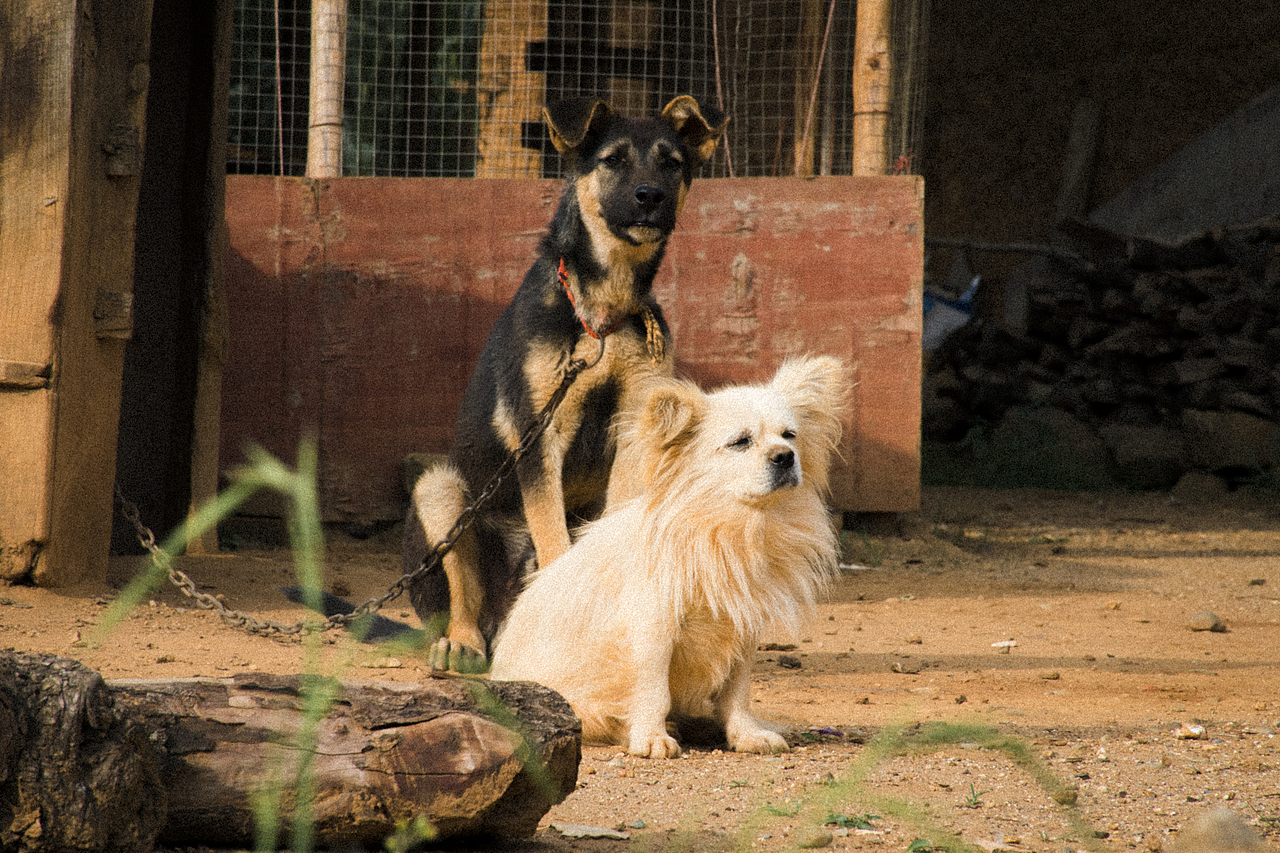 时光是什么样的?（图ZMjE5OTUxNjIw） - 风光摄影 - 站酷设计师aiml1998原创素材 - 站酷ZCOOL