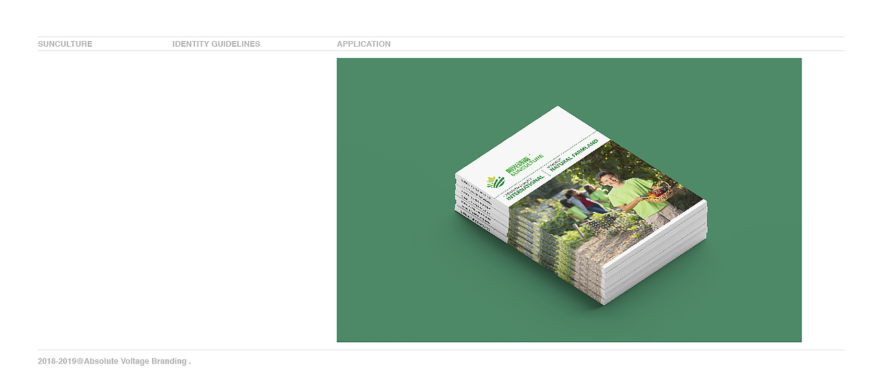 跨国农业科技-VI视觉识别提案