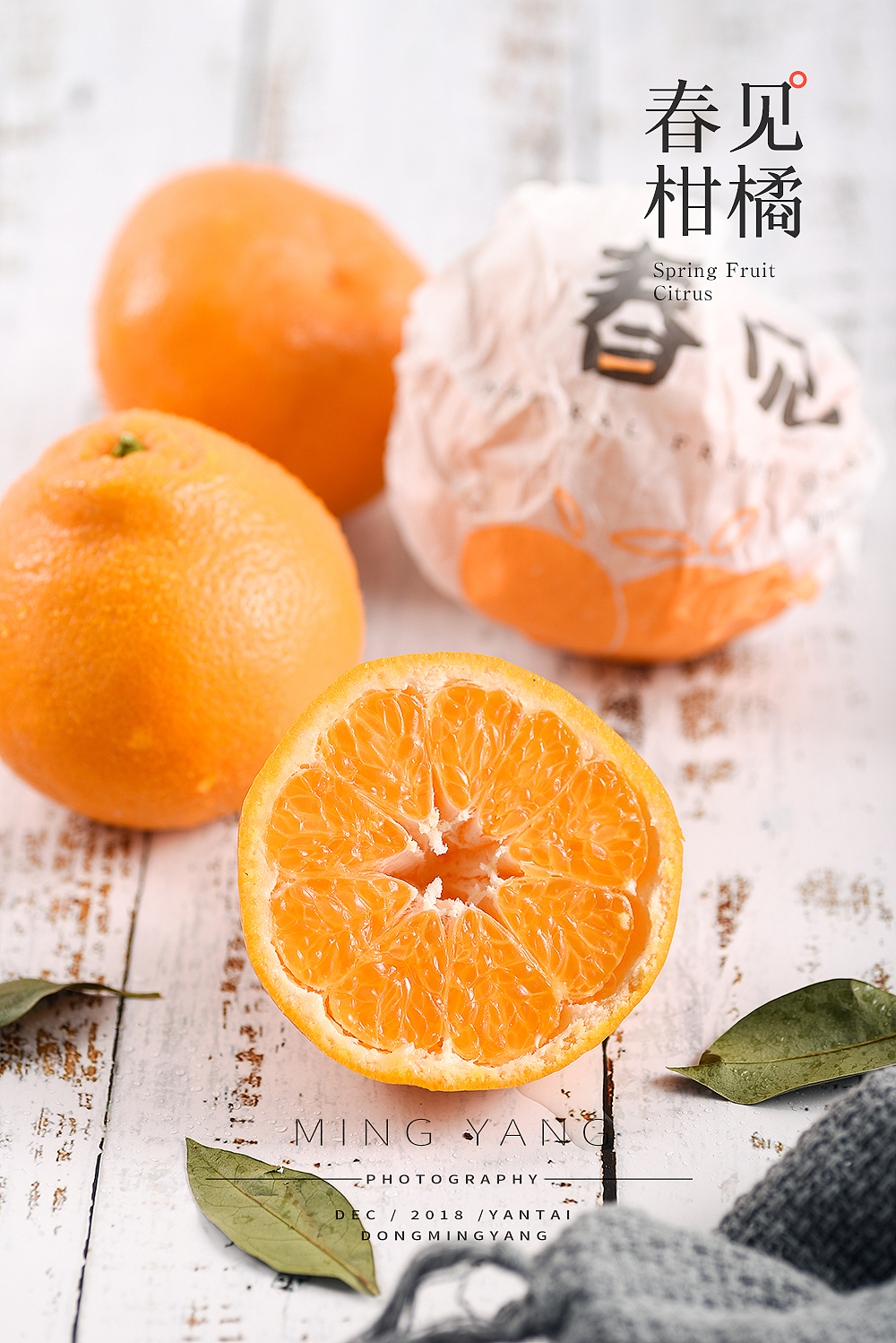 柑橘水果拍摄