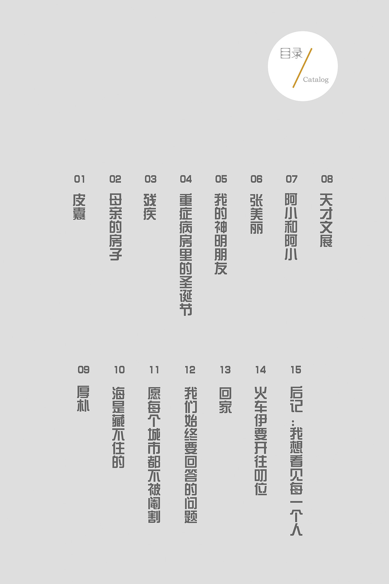  皮囊>书籍装帧练习