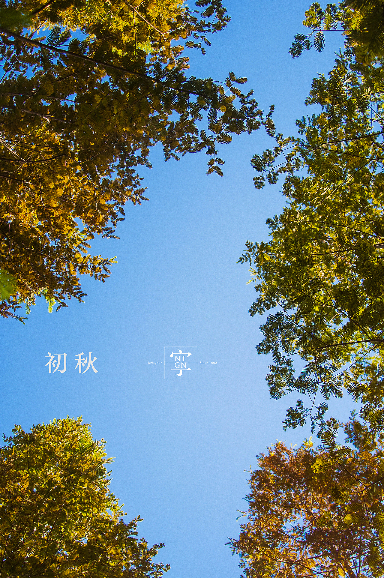 初秋/青岛/海大 -下-