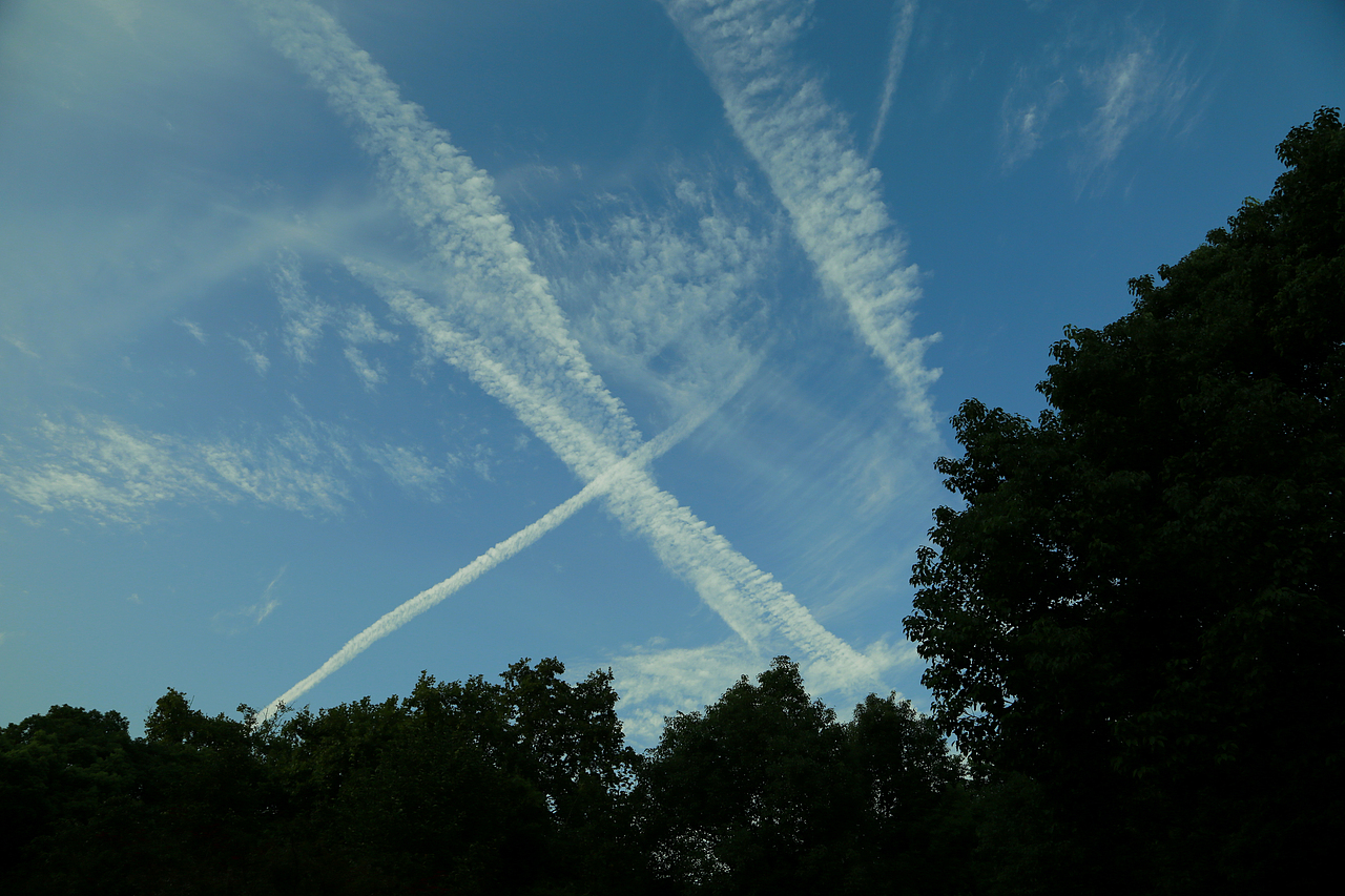 摄影 | 猫在西湖沉思