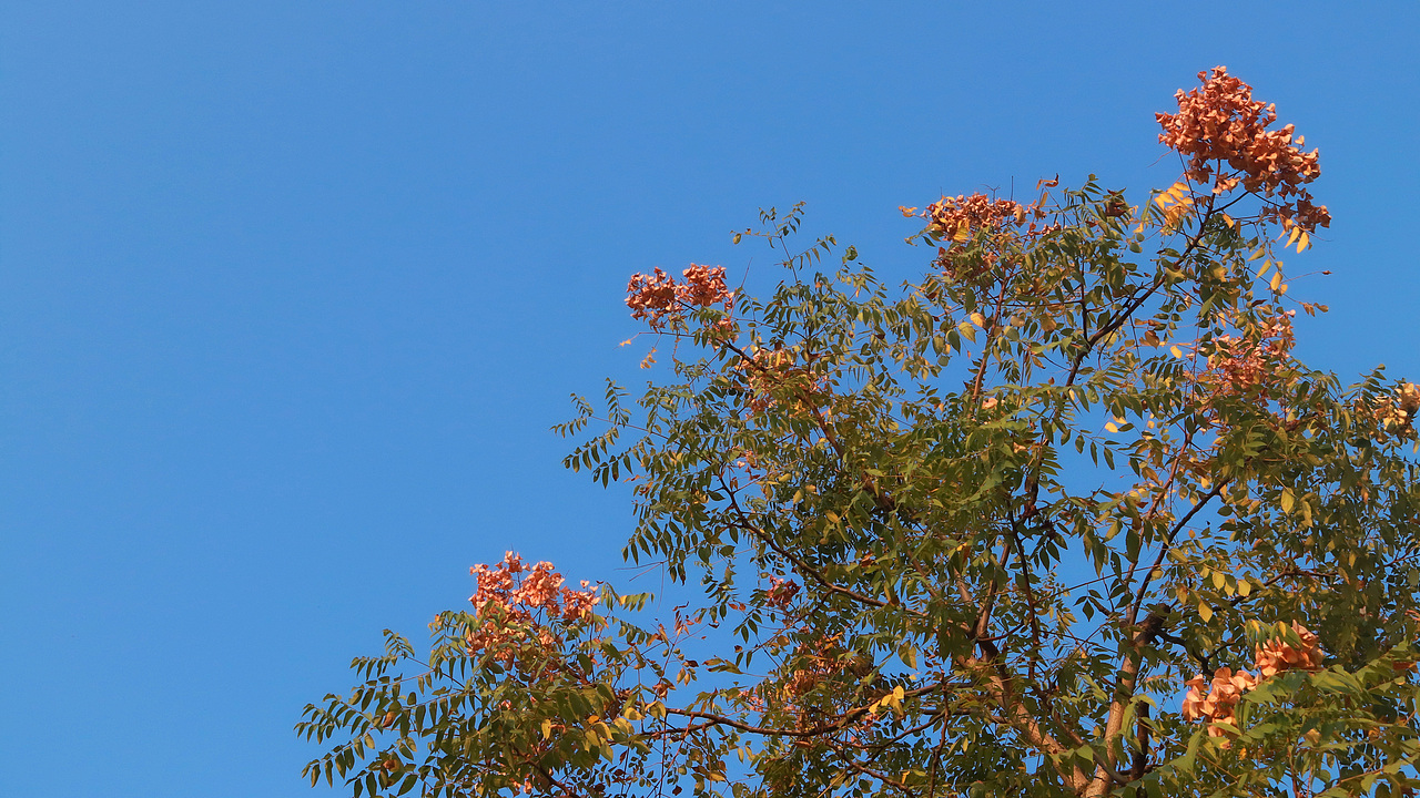 樟树湿地公园——永泰塔