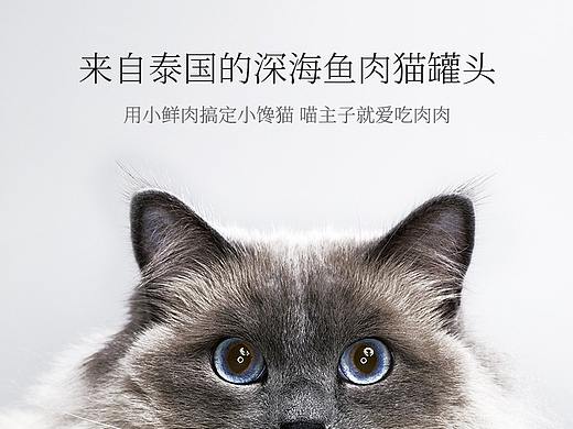宠怡猫罐头